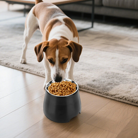 Stainless Steel Dog Food & Water Bowl