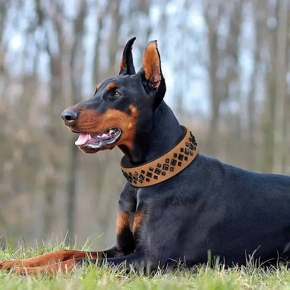 Strong Studded Dog Collar