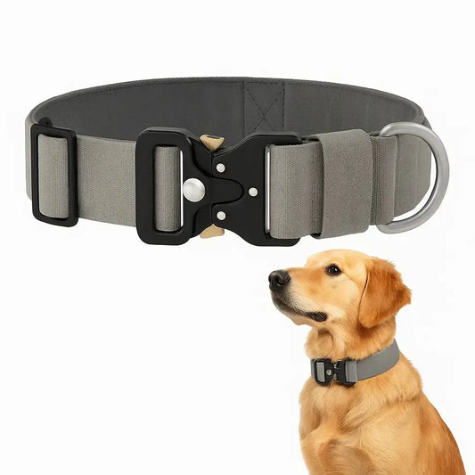Tactical Dog Collar with Handle & Metal Buckle