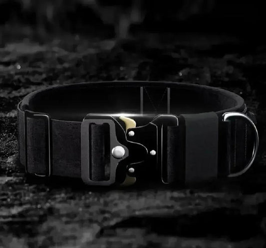 Tactical Dog Collar with Handle & Metal Buckle