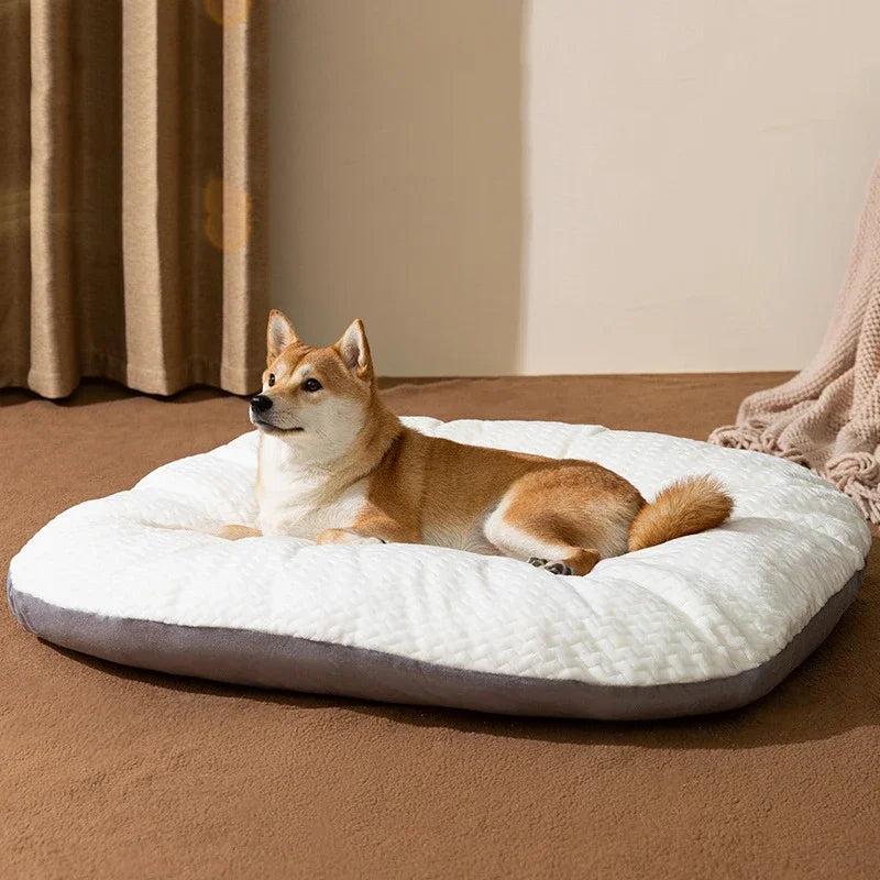 Thick Orthopedic Dog Bed