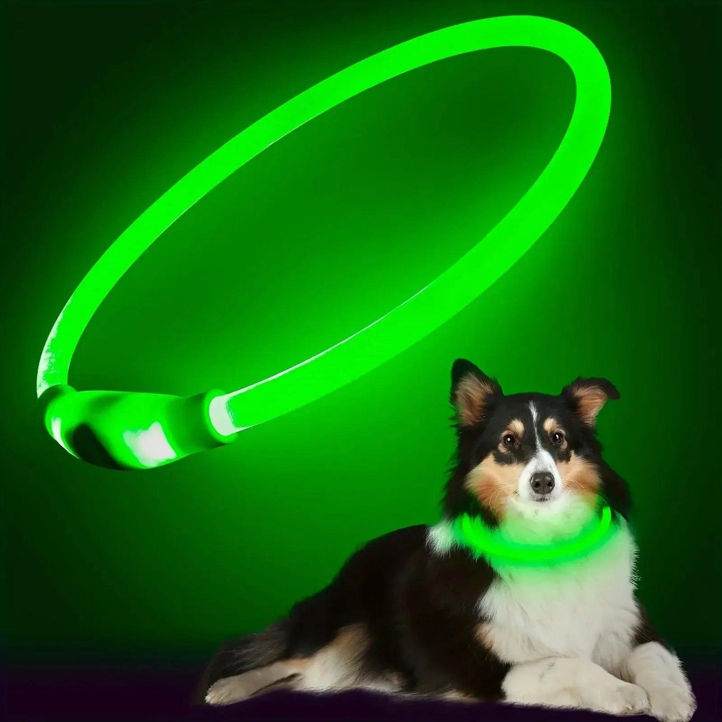 USB Rechargeable LED Dog Collar – Adjustable Glow & Cut-to-Fit