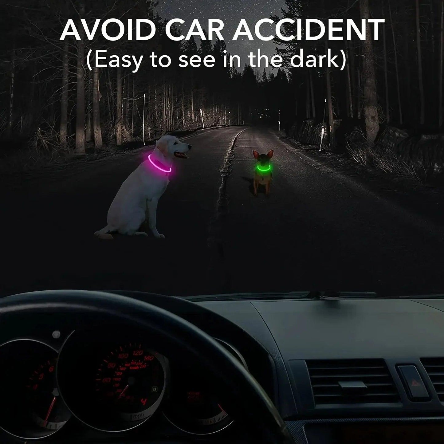 USB Rechargeable LED Dog Collar – Adjustable Glow & Cut-to-Fit