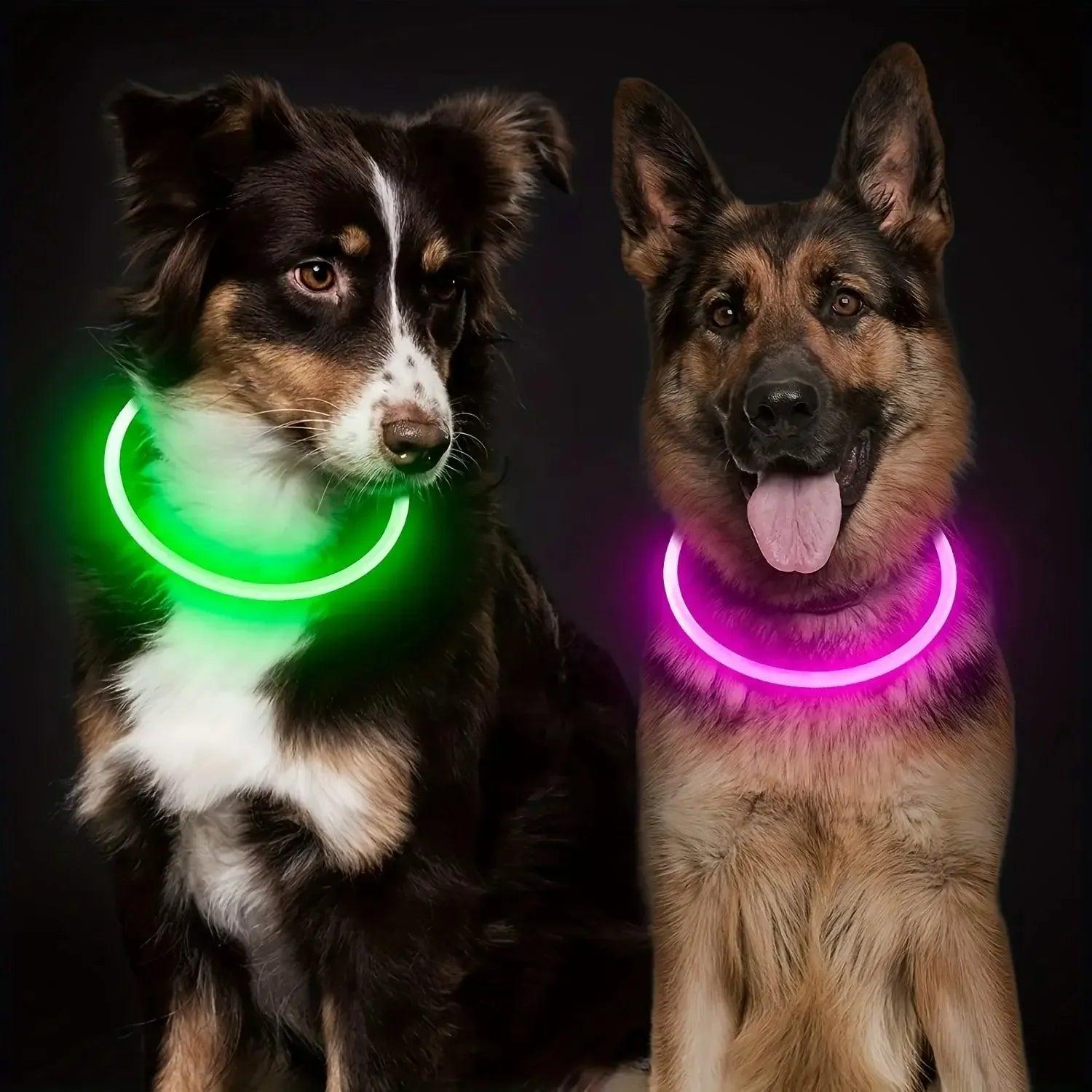 USB Rechargeable LED Dog Collar – Adjustable Glow & Cut-to-Fit