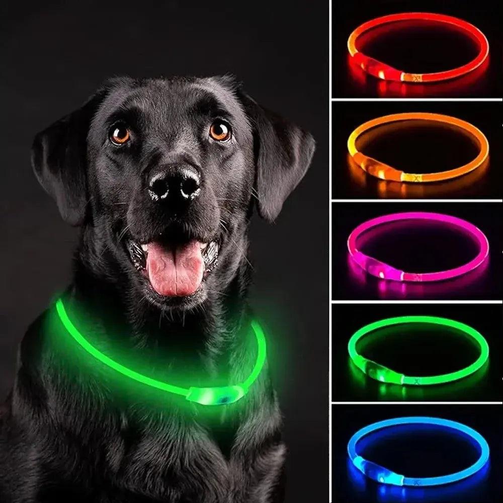 USB Rechargeable LED Dog Collar – Adjustable Glow & Cut-to-Fit