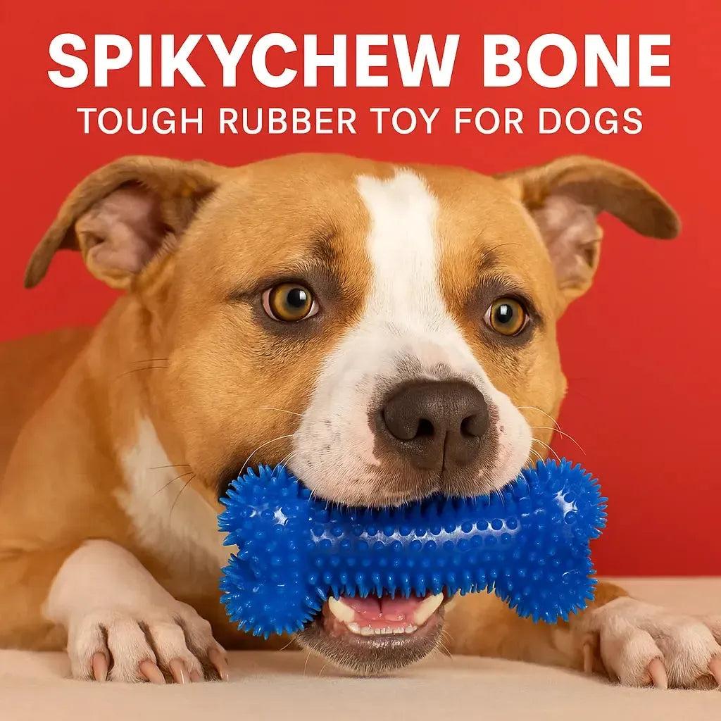 Ultra-Tough Squeaky Bone for Heavy Chewers