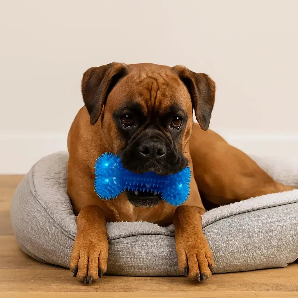 Ultra-Tough Squeaky Bone for Heavy Chewers