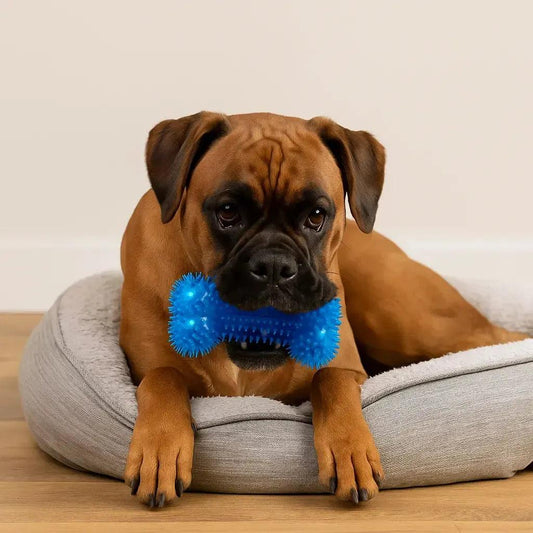 Ultra-Tough Squeaky Bone for Heavy Chewers