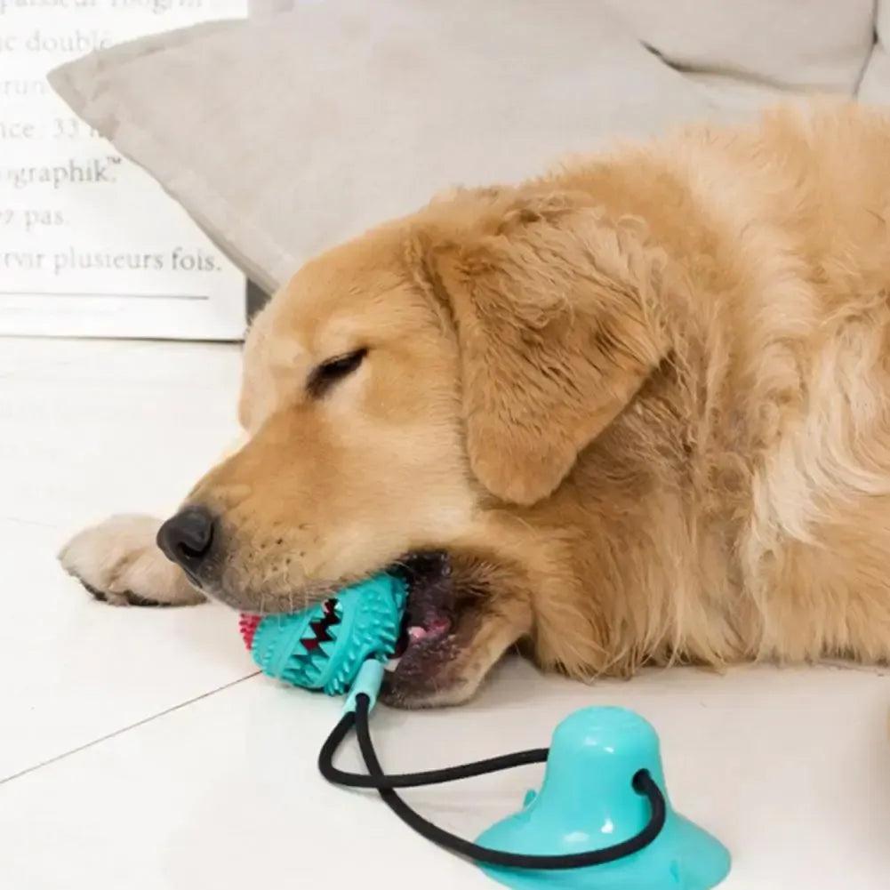 Ultra Tough Suction Tug Toy for Large Dogs
