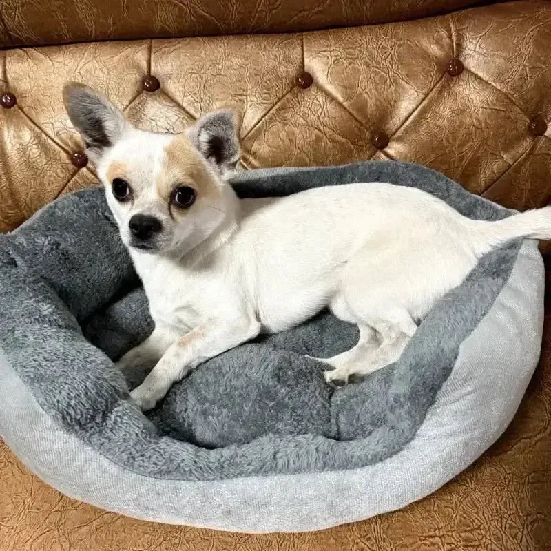 Washable Cotton Dog Donut Bed