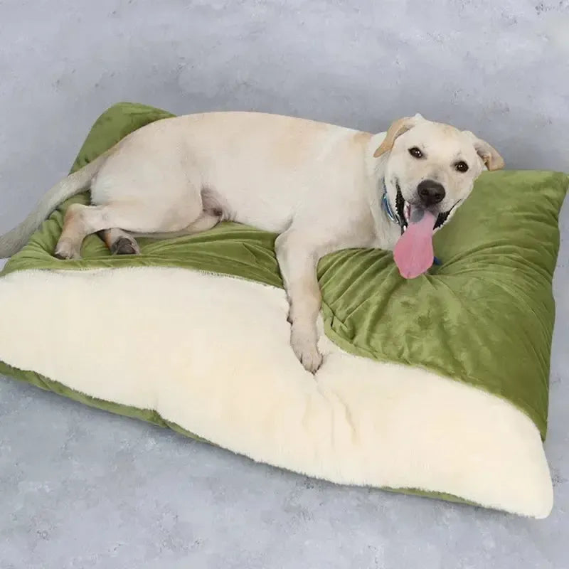 Washable Orthopedic Bite-Resistant Dog