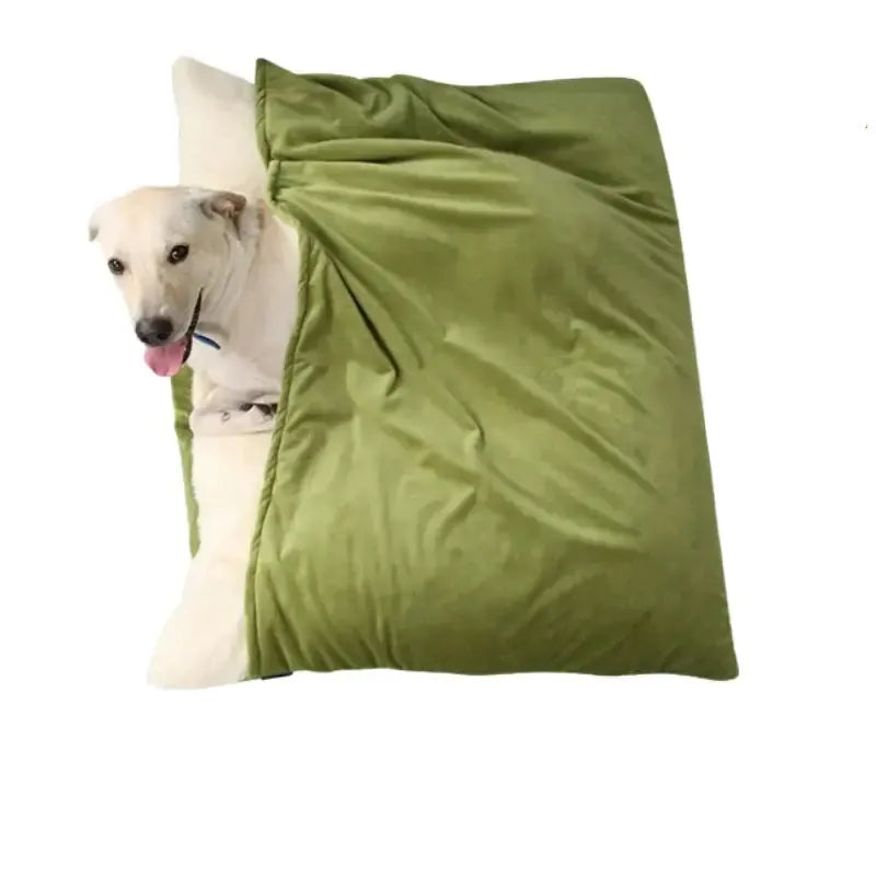 Washable Orthopedic Bite-Resistant Dog