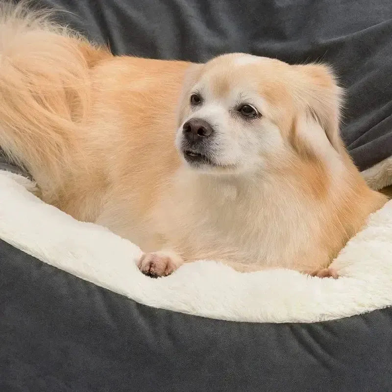 Washable Semi-Closed Plush Dog Bed With Removable Cushion