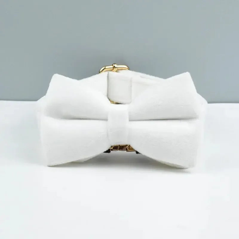 White Velvet Dog Collar