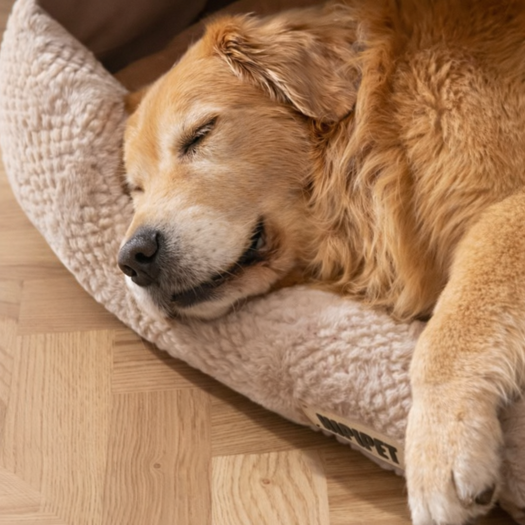 Winter Warm Semi-Enclosed Dog Bed