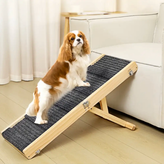Wooden Dog Ramp