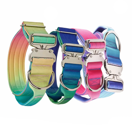 XL Galaxy Tactical Dog Collar and Leash Set | 5cm Wide for Large Dogs