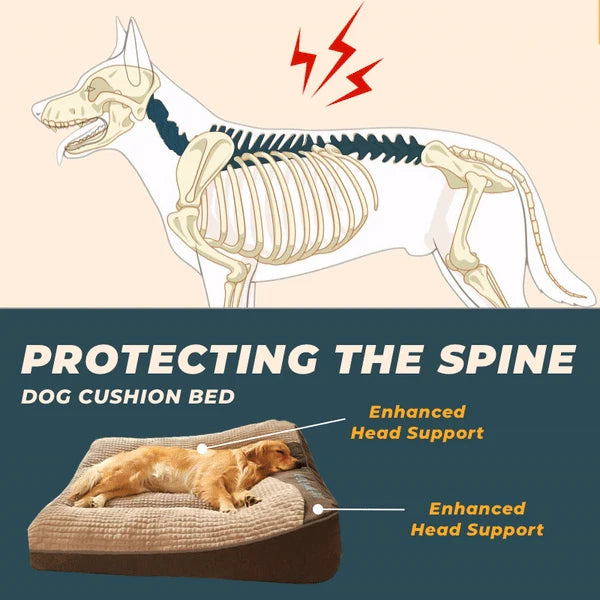 Brown Orthopedic Dog Bed Extra Large | Joint Support & Anti-Slip