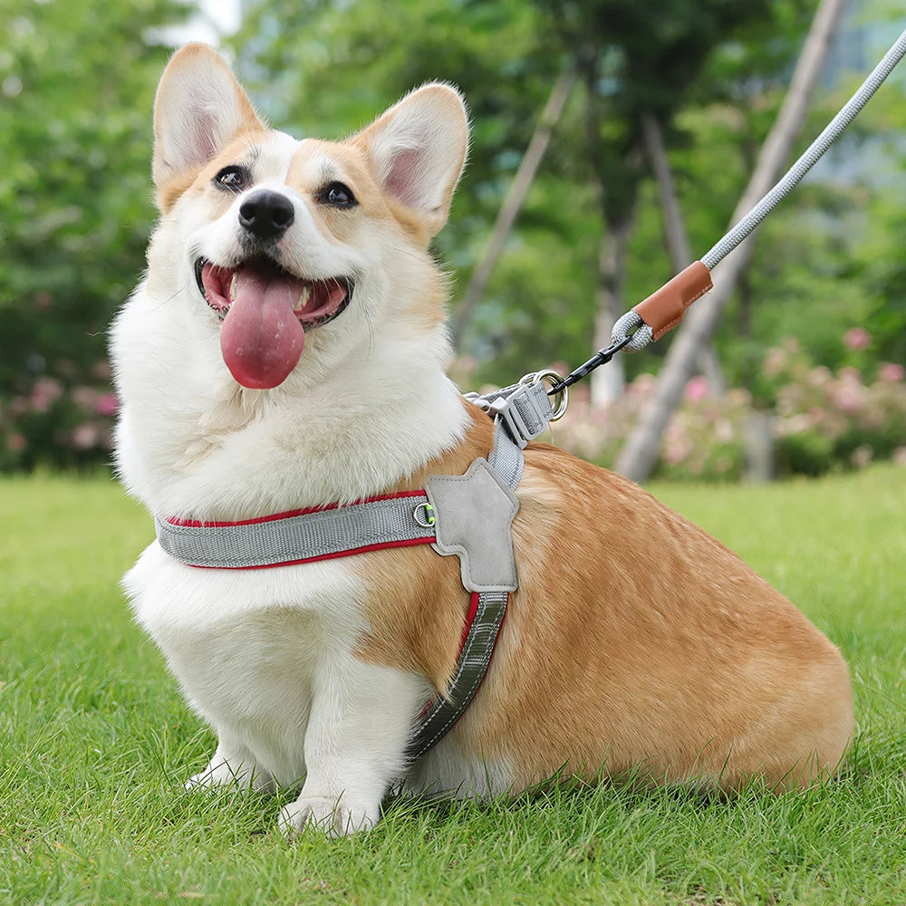 Reflective No Pull Dog Harness