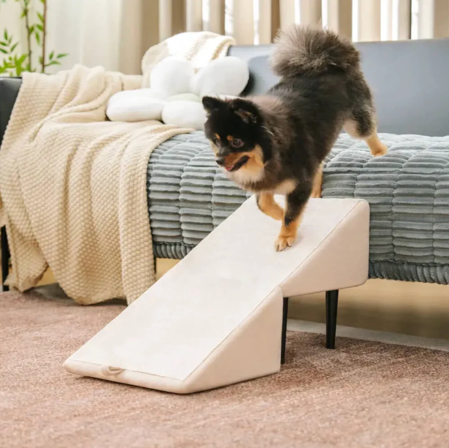 2-in-1 Convertible Wooden Dog Ramp