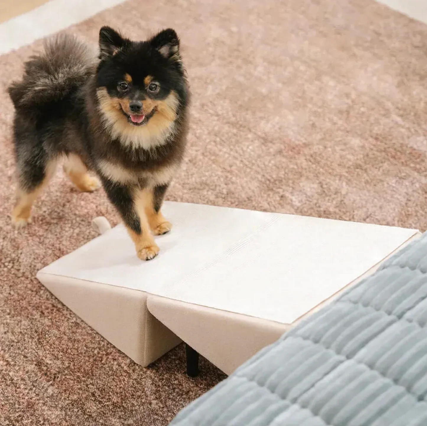 2-in-1 Convertible Wooden Dog Ramp