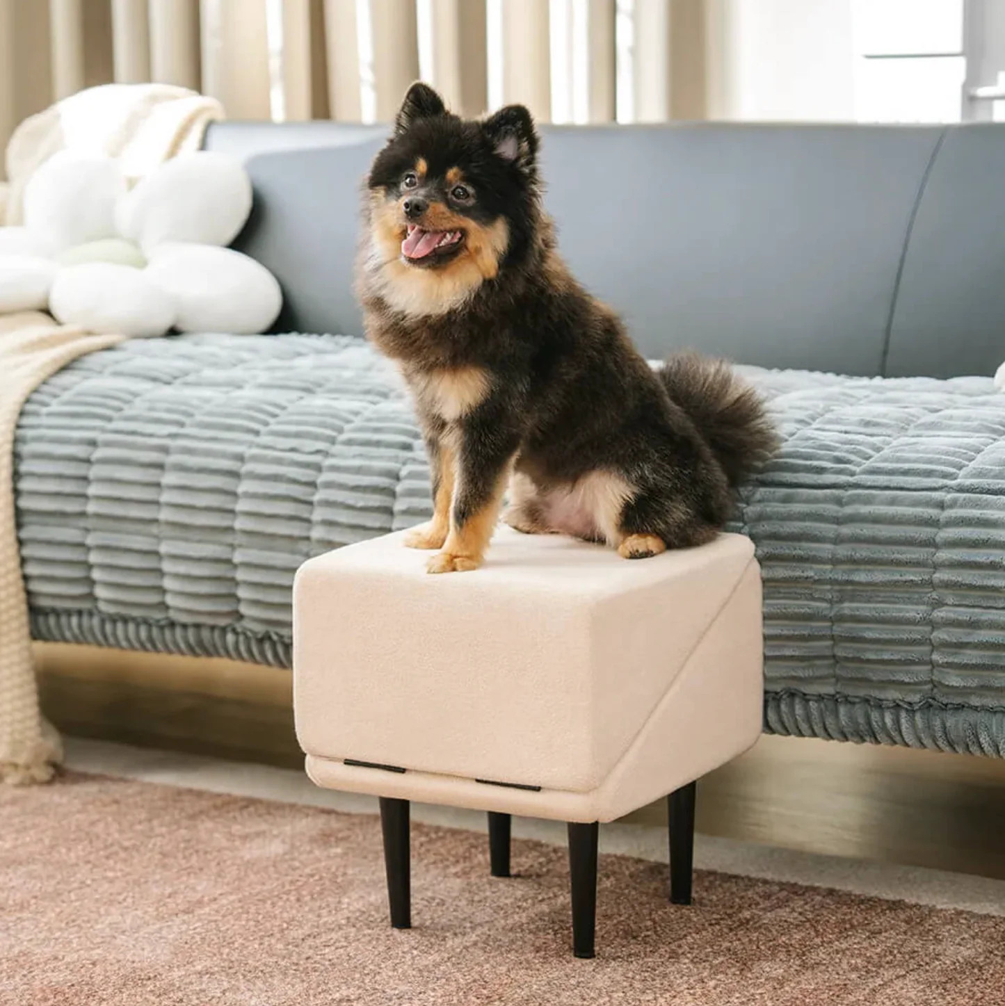 2-in-1 Convertible Wooden Dog Ramp