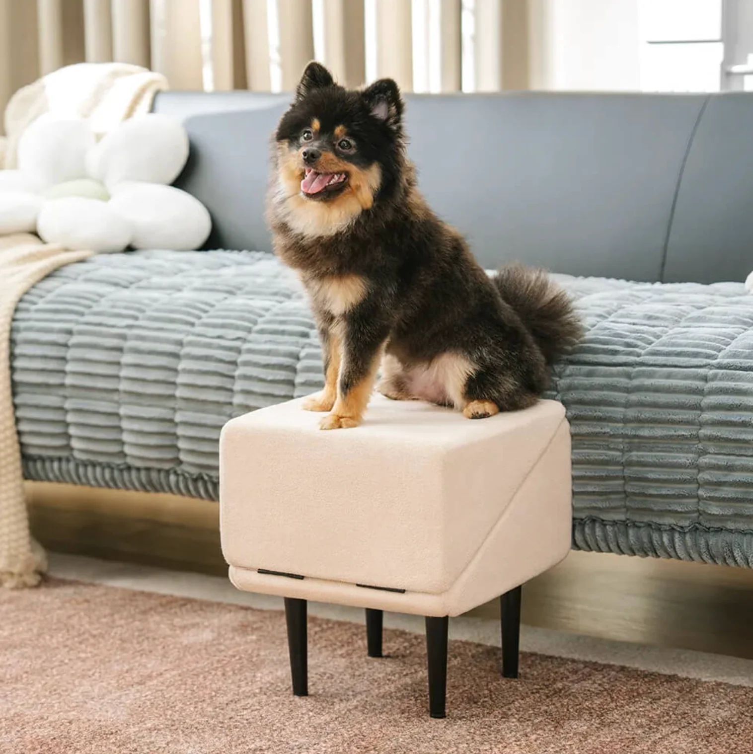 2-in-1 Convertible Wooden Dog Ramp 5