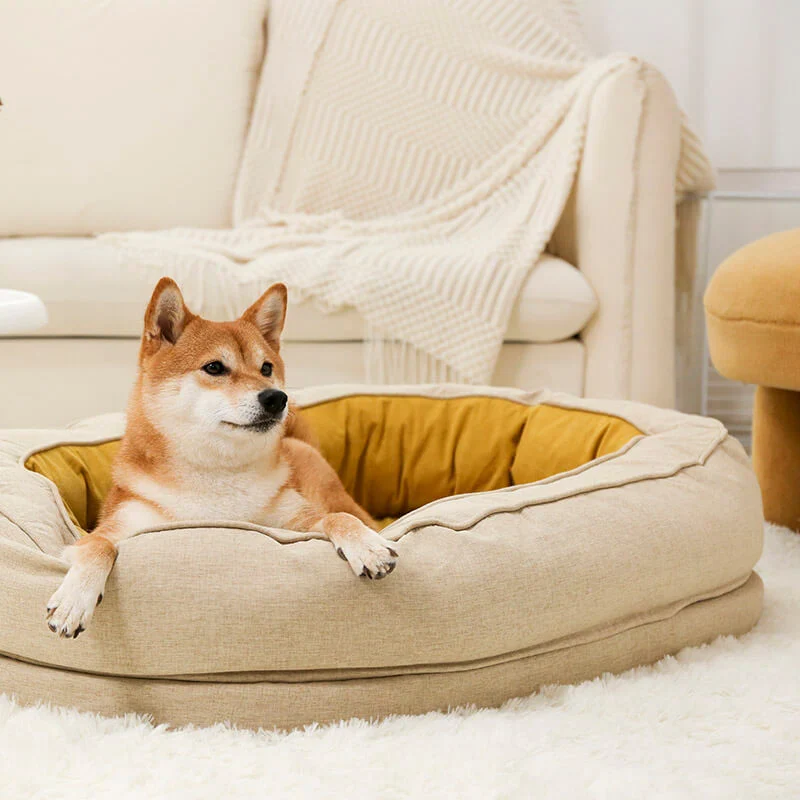 dogbed
