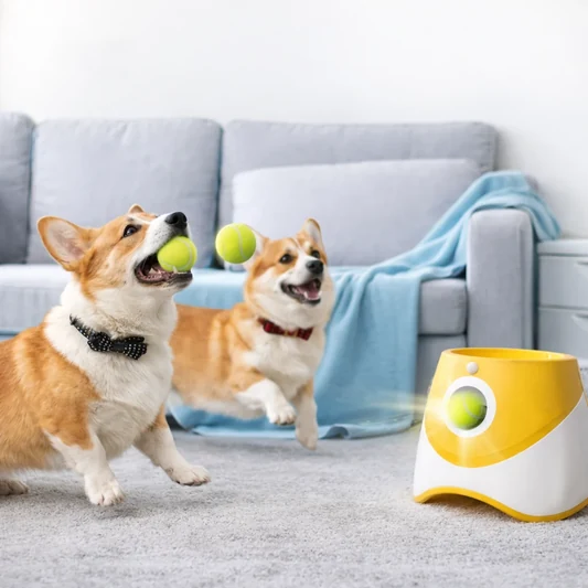 Automatic Dog Ball Launcher alternate view