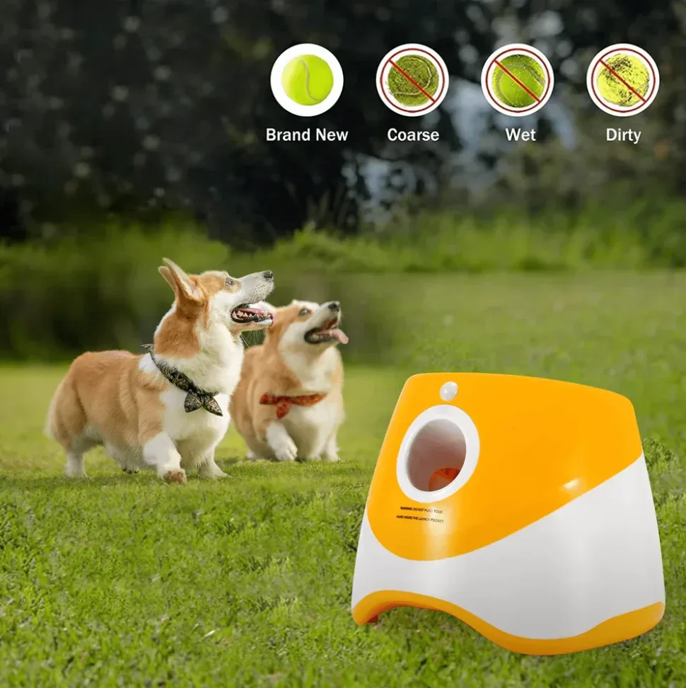Automatic Dog Ball Launcher 3
