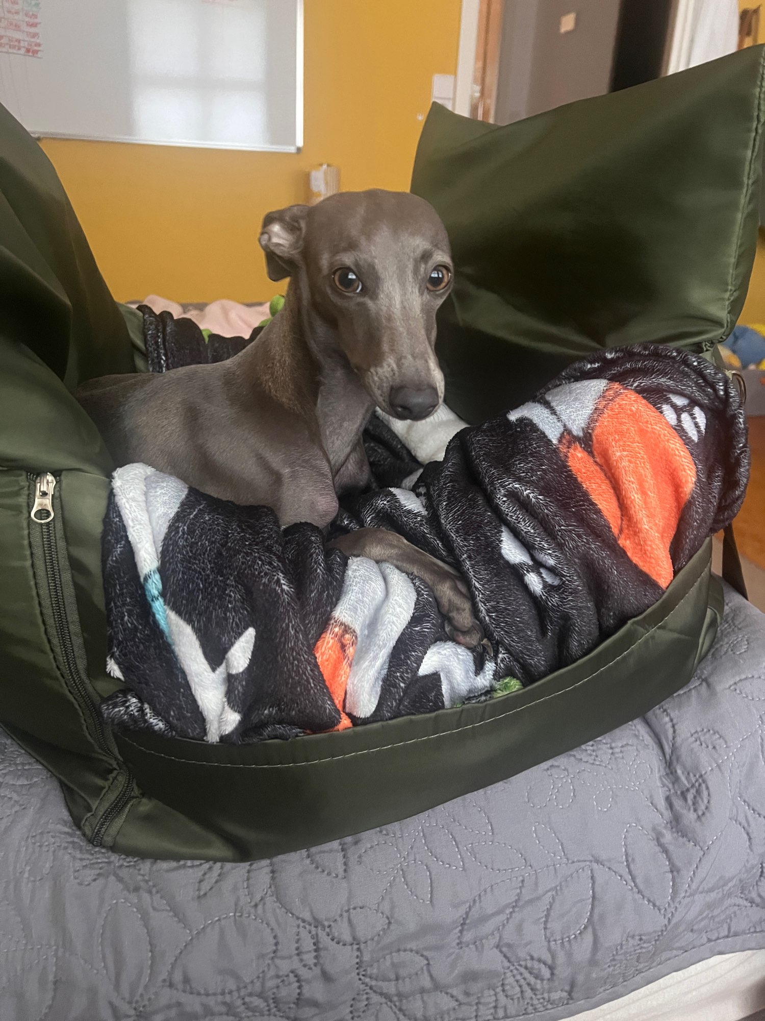 Photo from Arla Greenfelder’s review