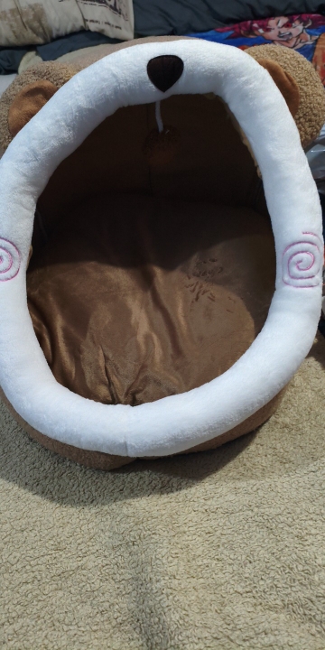 Photo from Geraldine Johnson’s review