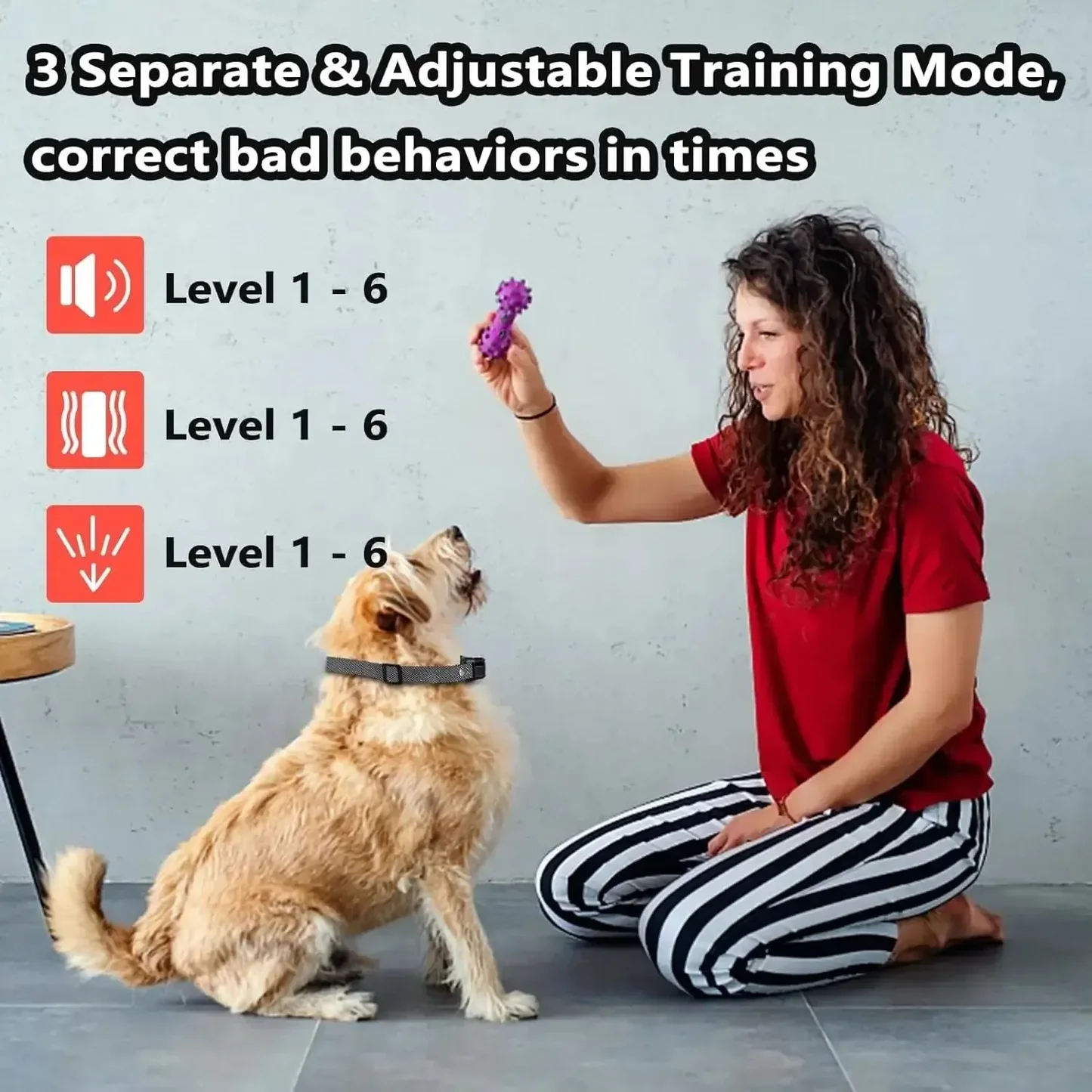 Bark Collar for a Dog – Humane Spray Remote Trainer