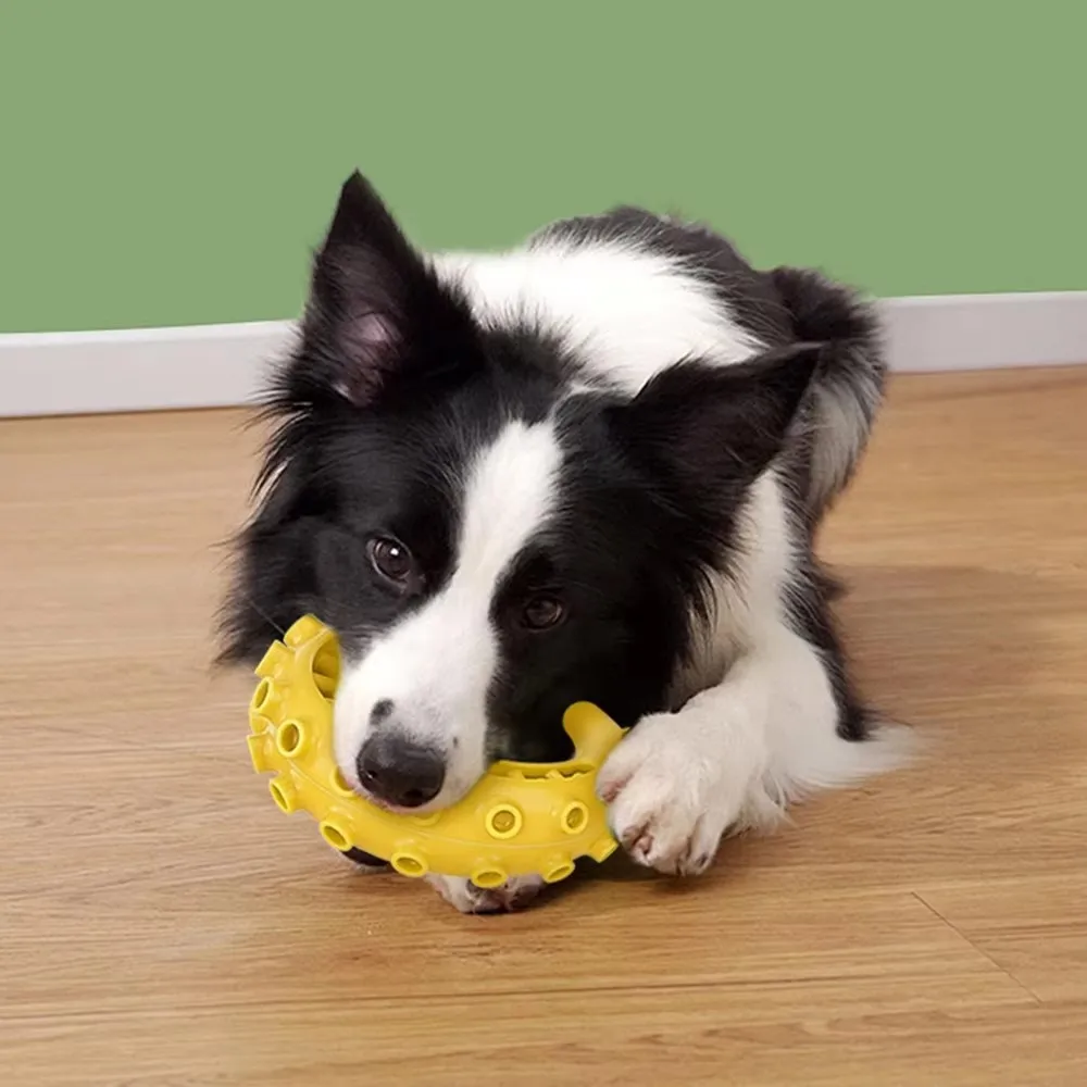 Bite Resistant Dog Chew Toy 2