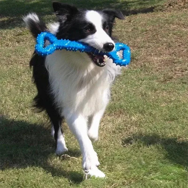 Bite Resistant Rubber Toy for Aggressive Chewers 2