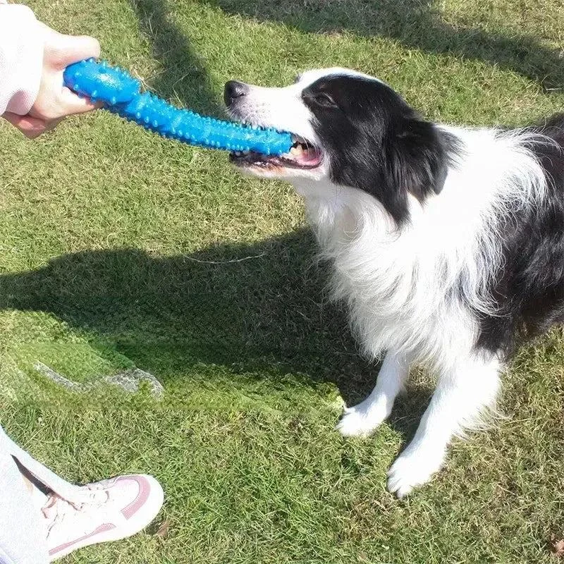 Bite Resistant Rubber Toy for Aggressive Chewers 3