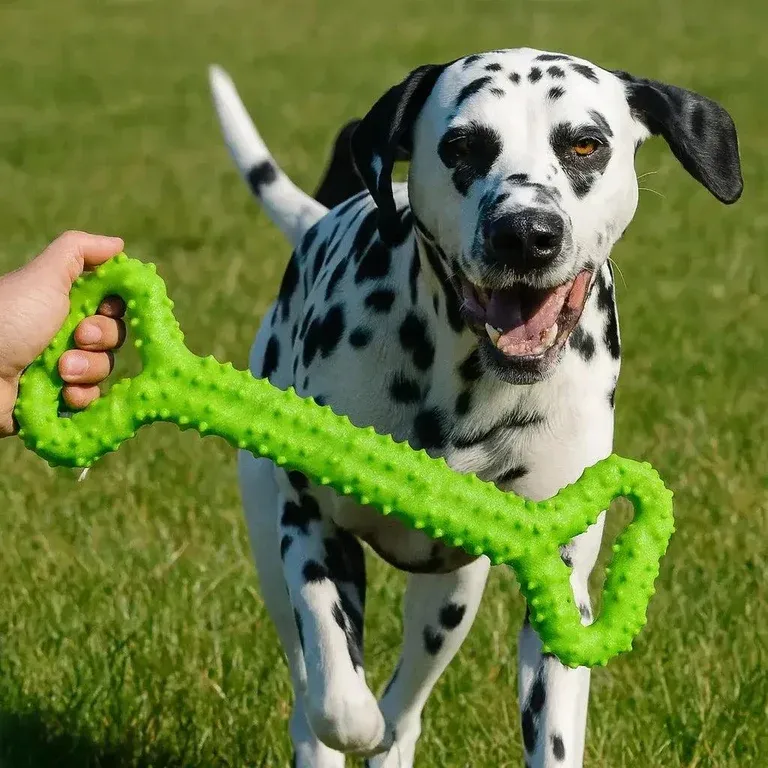 Bite Resistant Rubber Toy for Aggressive Chewers