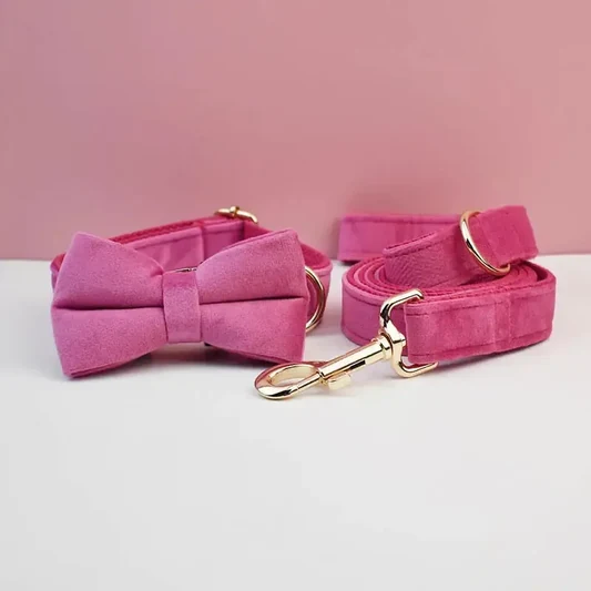 Bright Pink Velvet Dog Collar alternate view