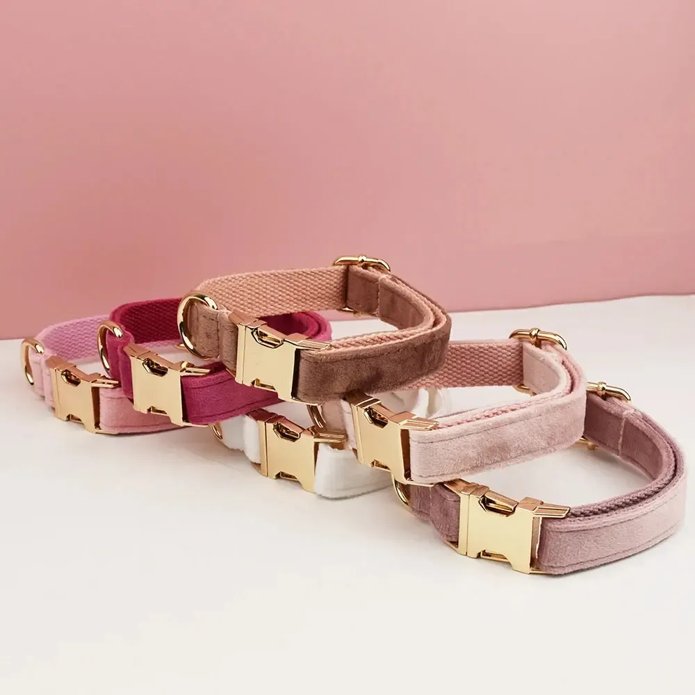 Bright Pink Velvet Dog Collar 5