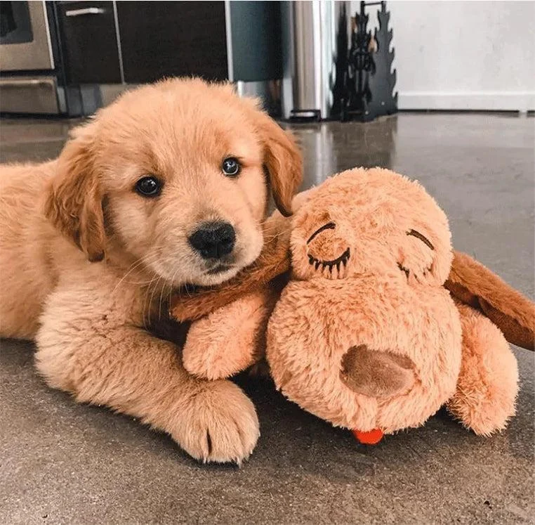 Best Selling Dog Toys