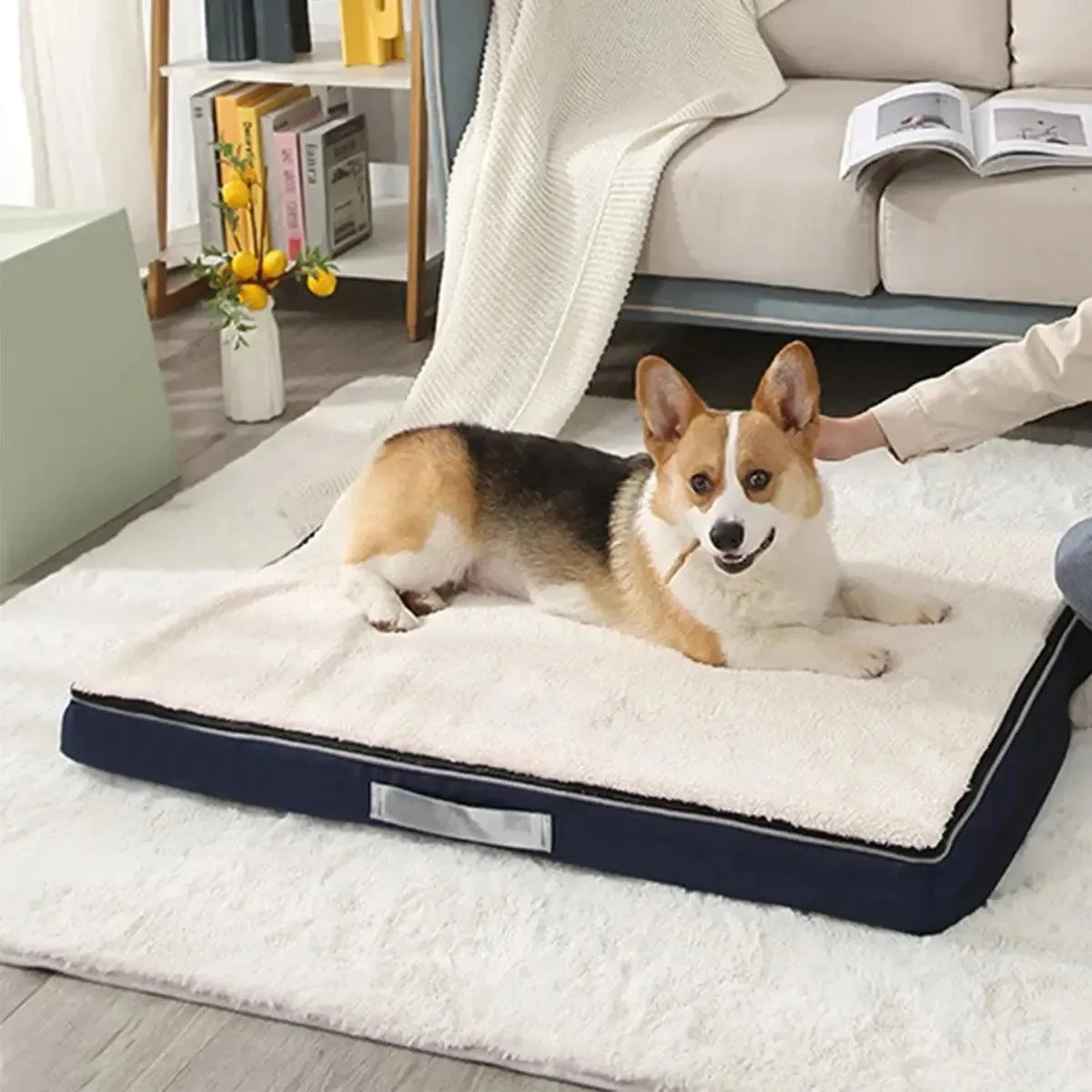 Calming Orthopedic Dog Mat