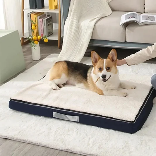 Calming Orthopedic Dog Mat