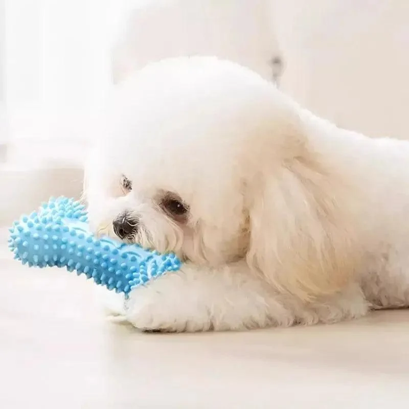 Colourful Dog Chew Toy Set for Dental Health and Play 8