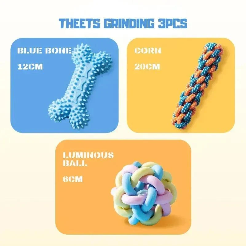 Colourful Dog Chew Toy Set for Dental Health and Play 10