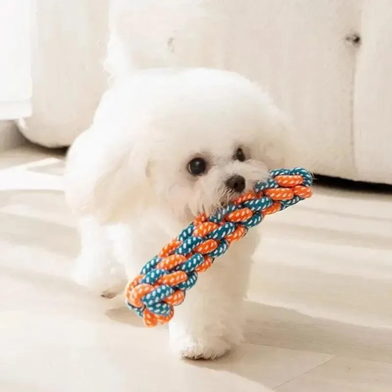 Colourful Dog Chew Toy Set for Dental Health and Play 4