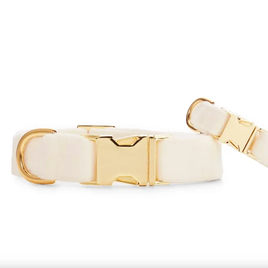 Cream Velvet Dog Collar alternate view
