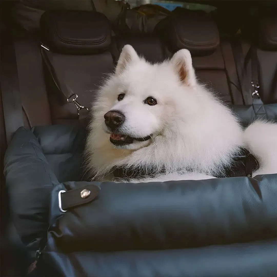 Dog Car Seat Bed – Orthopedic Booster for Joint Support 11