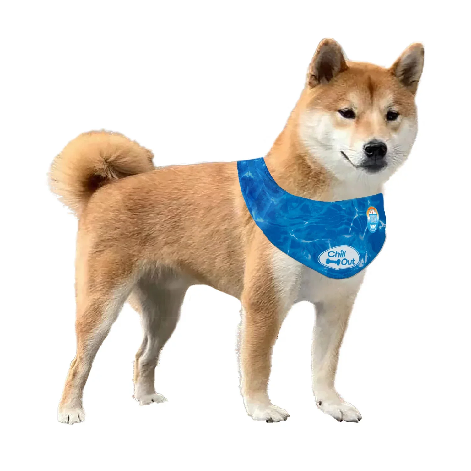 Dog Cooling Bandana
