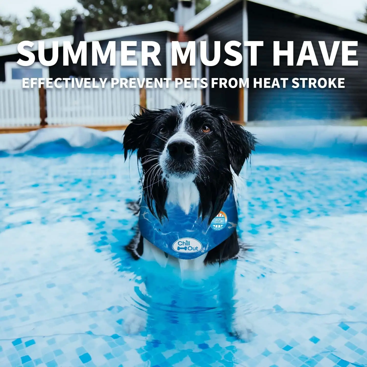 Dog Cooling Bandana 4