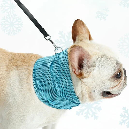 Dog Cooling Bandana with Leash Hole